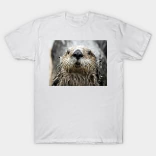 Sea Otter Face T-Shirt